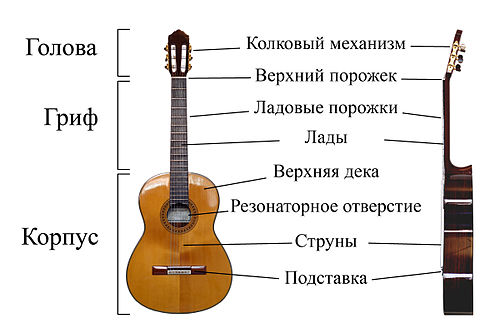 Составные части гитары